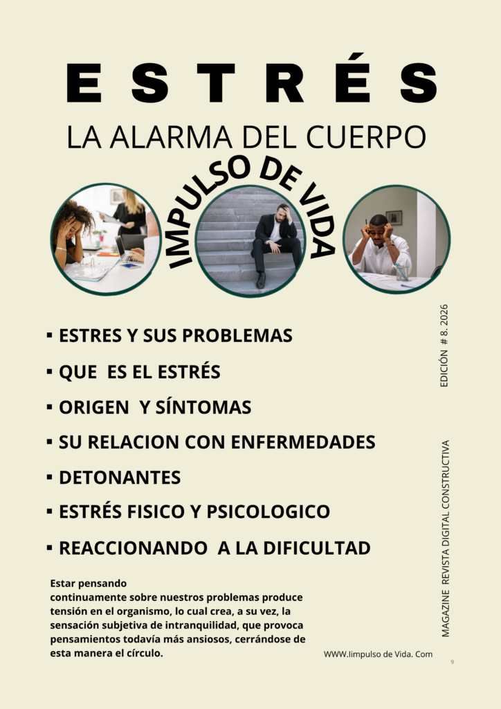 Rebista digital constructiva-EL ESTRES